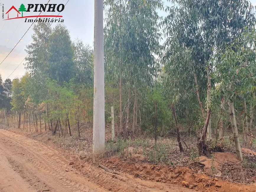 Foto 3 de Terreno / Lote à venda, 5000m2 em Sao Pedro - SP