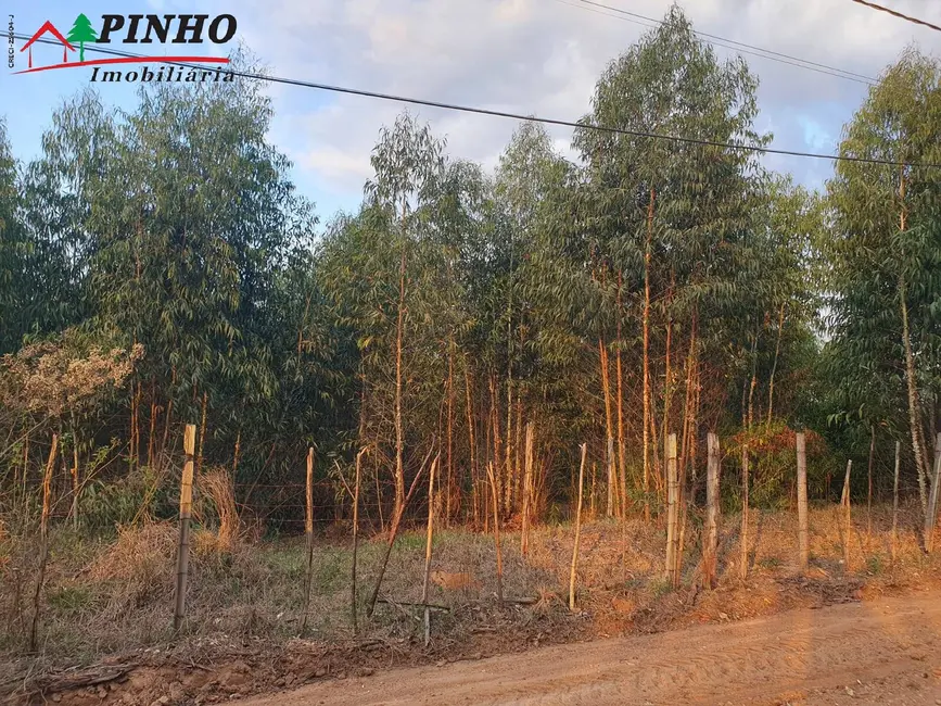 Foto 6 de Terreno / Lote à venda, 5000m2 em Sao Pedro - SP