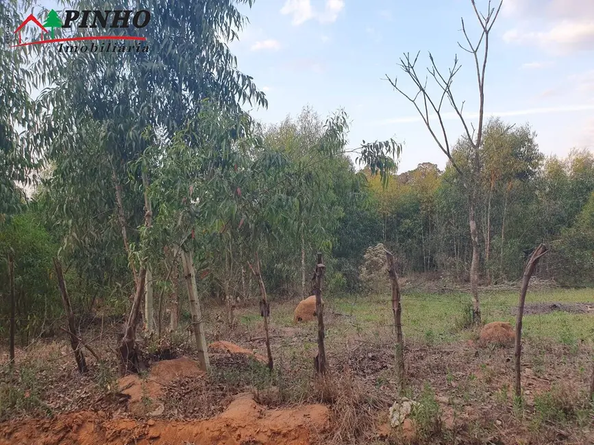 Foto 4 de Terreno / Lote à venda, 5000m2 em Sao Pedro - SP