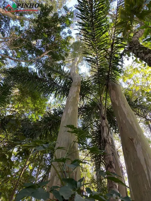 Foto 4 de Terreno / Lote à venda, 5200m2 em Sao Pedro - SP