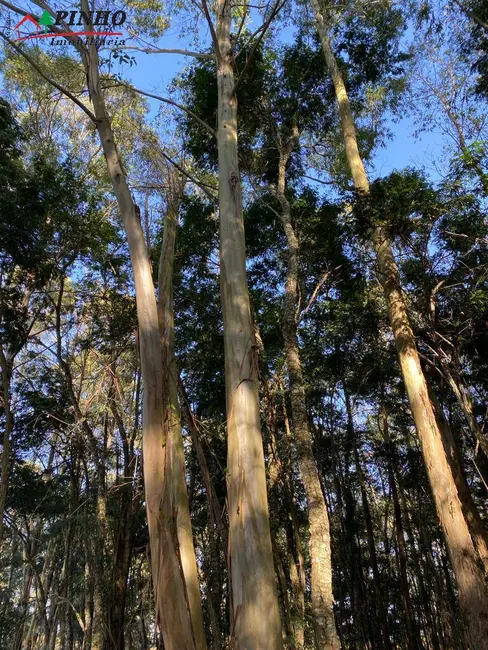 Foto 8 de Terreno / Lote à venda, 5200m2 em Sao Pedro - SP