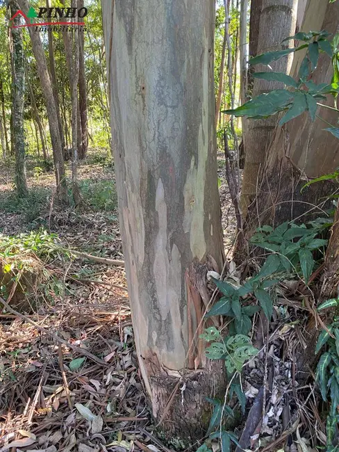 Foto 6 de Terreno / Lote à venda, 5200m2 em Sao Pedro - SP