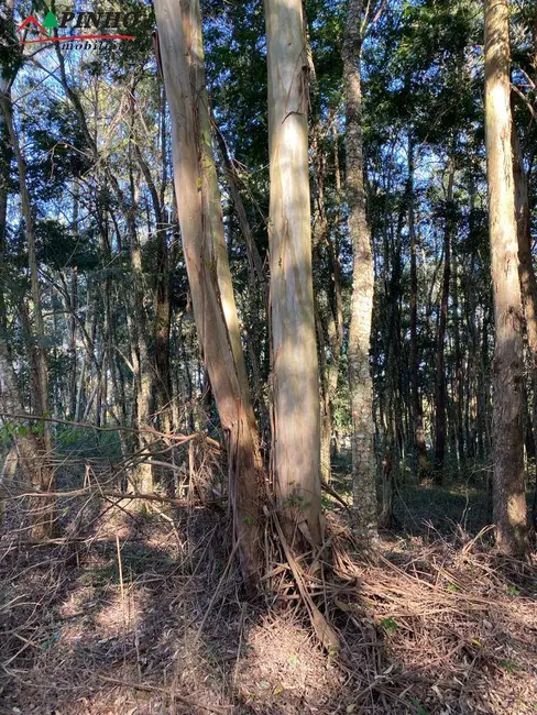 Foto 7 de Terreno / Lote à venda, 5200m2 em Sao Pedro - SP