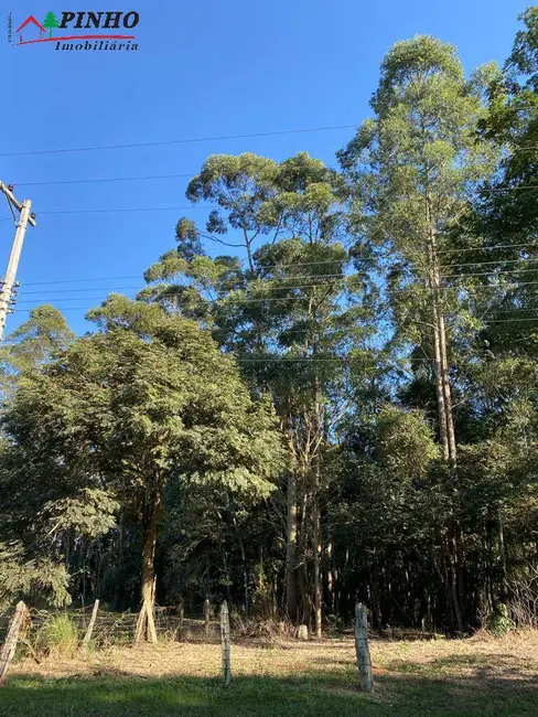 Foto 2 de Terreno / Lote à venda, 5200m2 em Sao Pedro - SP