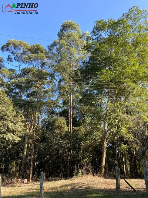 Foto 3 de Terreno / Lote à venda, 5200m2 em Sao Pedro - SP