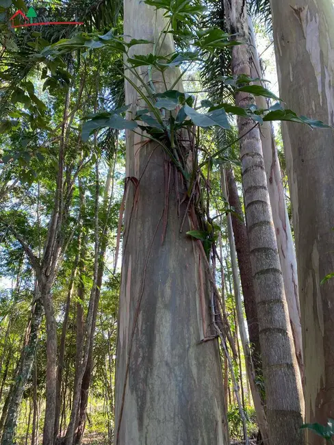 Foto 5 de Terreno / Lote à venda, 5200m2 em Sao Pedro - SP