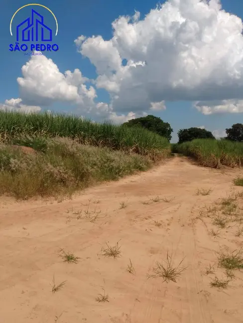 Foto 2 de Fazenda / Haras à venda, 108m2 em Santa Maria Da Serra - SP