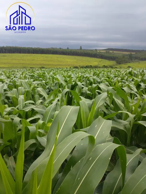 Foto 2 de Sítio / Rancho à venda, 20m2 em Sao Pedro - SP