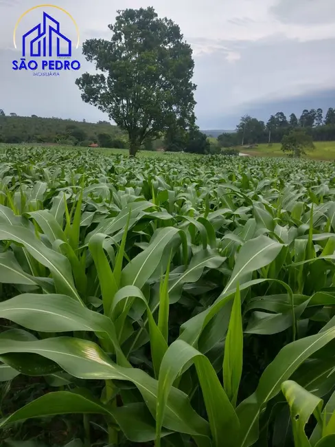 Sítio / Rancho à venda, 20m2 em Sao Pedro - SP - imagem 9 Foto 9 de Sítio / Rancho à venda, 20m2 em Sao Pedro - SP