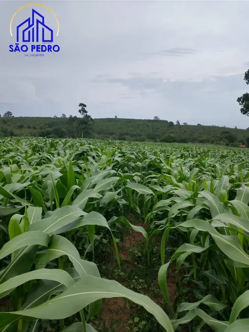 Sítio / Rancho à venda, 20m2 em Sao Pedro - SP - imagem 5 Foto 5 de Sítio / Rancho à venda, 20m2 em Sao Pedro - SP