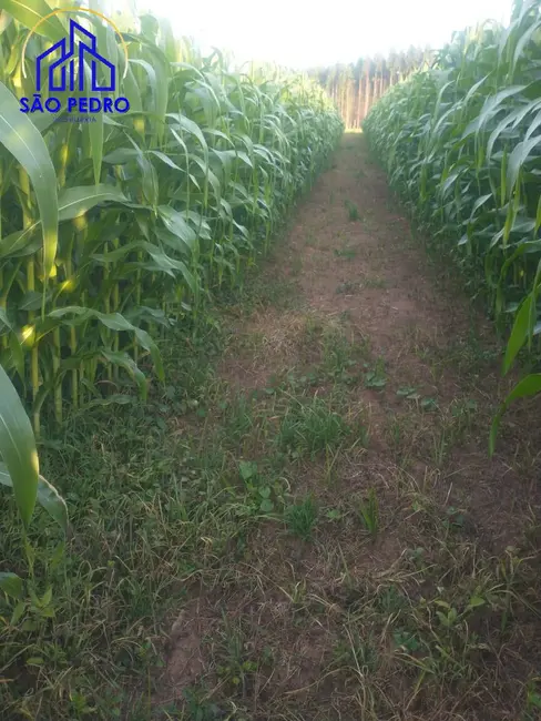 Sítio / Rancho à venda, 20m2 em Sao Pedro - SP - imagem 4 Foto 4 de Sítio / Rancho à venda, 20m2 em Sao Pedro - SP