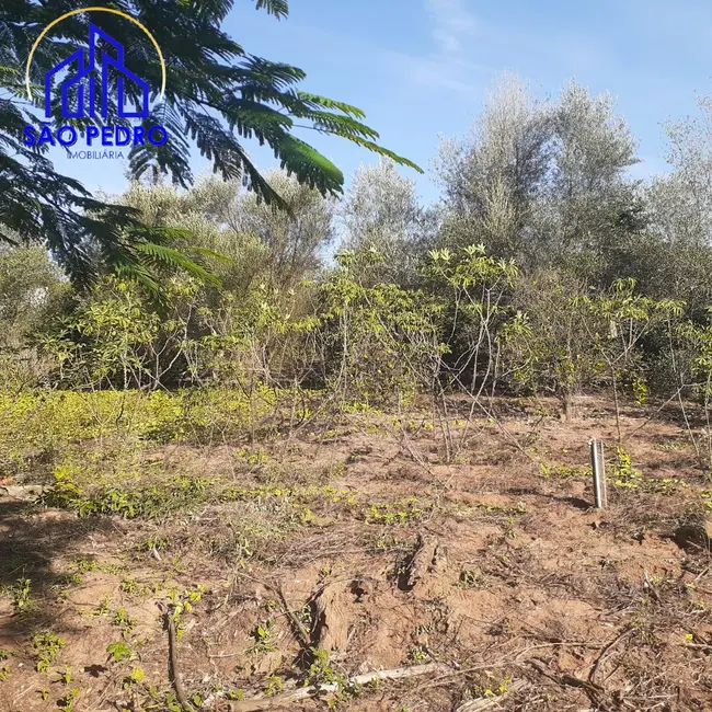 Foto 2 de Casa com 5 quartos à venda, 5000m2 em Sao Pedro - SP