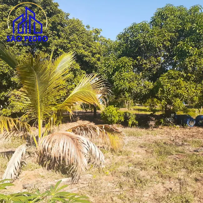 Foto 3 de Casa com 5 quartos à venda, 5000m2 em Sao Pedro - SP