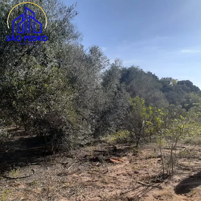 Foto 8 de Casa com 5 quartos à venda, 5000m2 em Sao Pedro - SP