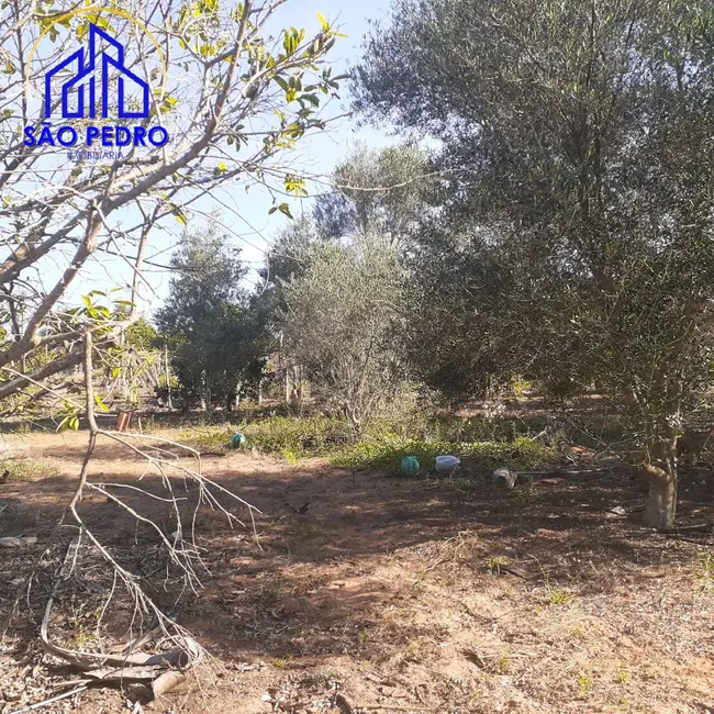 Foto 7 de Casa com 5 quartos à venda, 5000m2 em Sao Pedro - SP