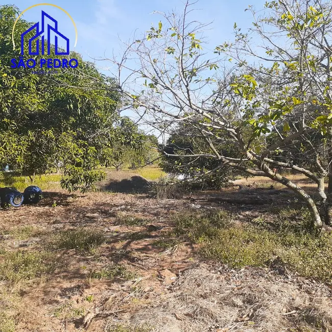 Foto 6 de Casa com 5 quartos à venda, 5000m2 em Sao Pedro - SP