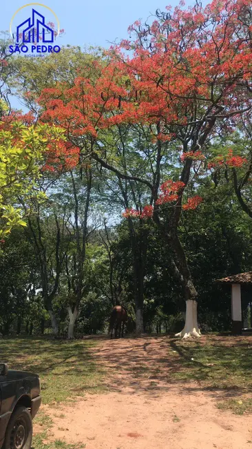 Foto 8 de Casa com 3 quartos à venda, 5000m2 em Sao Pedro - SP
