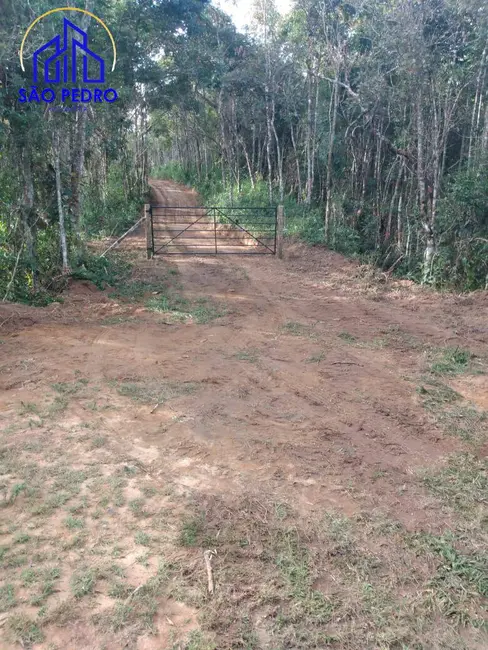 Foto 2 de Sítio / Rancho à venda, 10m2 em Liberdade - MG