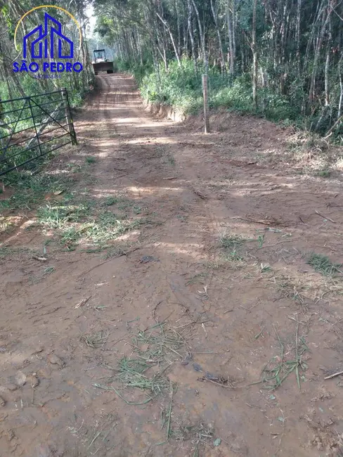 Foto 3 de Sítio / Rancho à venda, 10m2 em Liberdade - MG