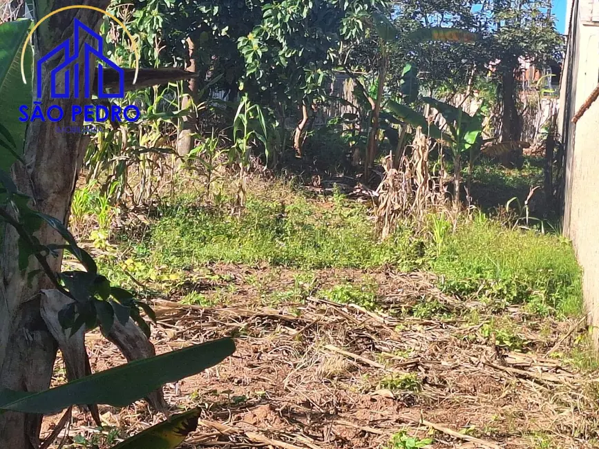 Foto 6 de Terreno / Lote à venda, 250m2 em Sao Pedro - SP