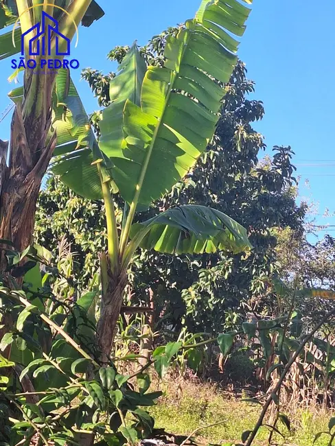 Foto 3 de Terreno / Lote à venda, 250m2 em Sao Pedro - SP