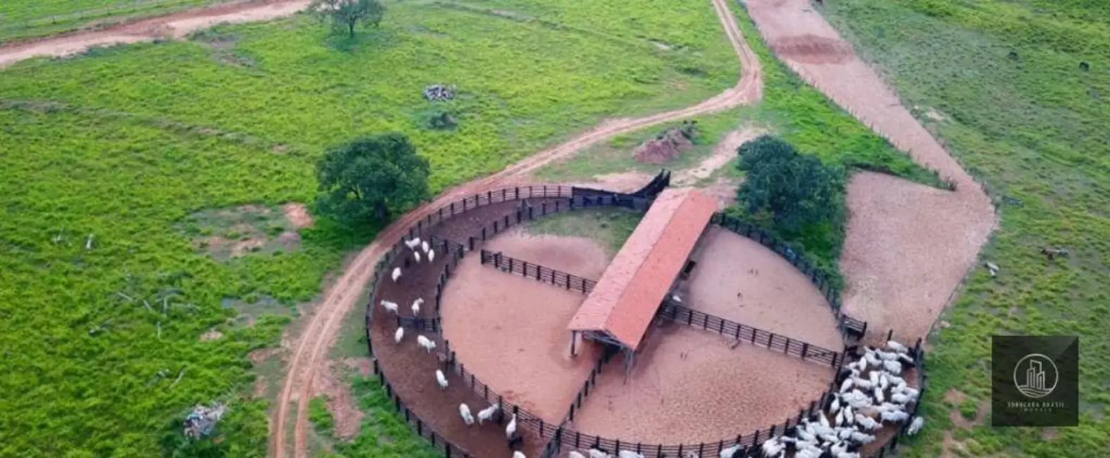 Foto 1 de Fazenda / Haras à venda, 16777215m2 em Centro, Ribas Do Rio Pardo - MS