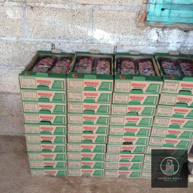 Foto 3 de Sítio / Rancho à venda, 193600m2 em Piedade - SP