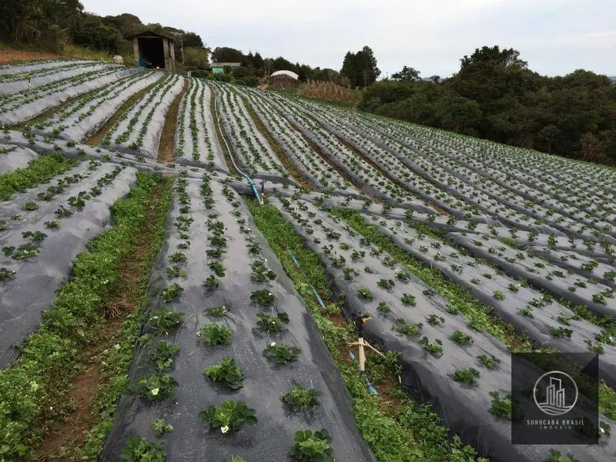 Foto 4 de Sítio / Rancho à venda, 193600m2 em Piedade - SP