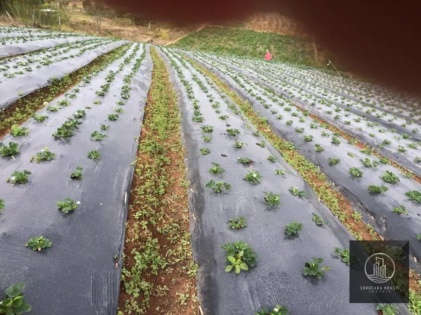 Foto 5 de Sítio / Rancho à venda, 193600m2 em Piedade - SP