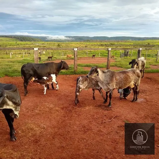 Foto 4 de Fazenda / Haras à venda, 16777215m2 em Vila Rica - MT