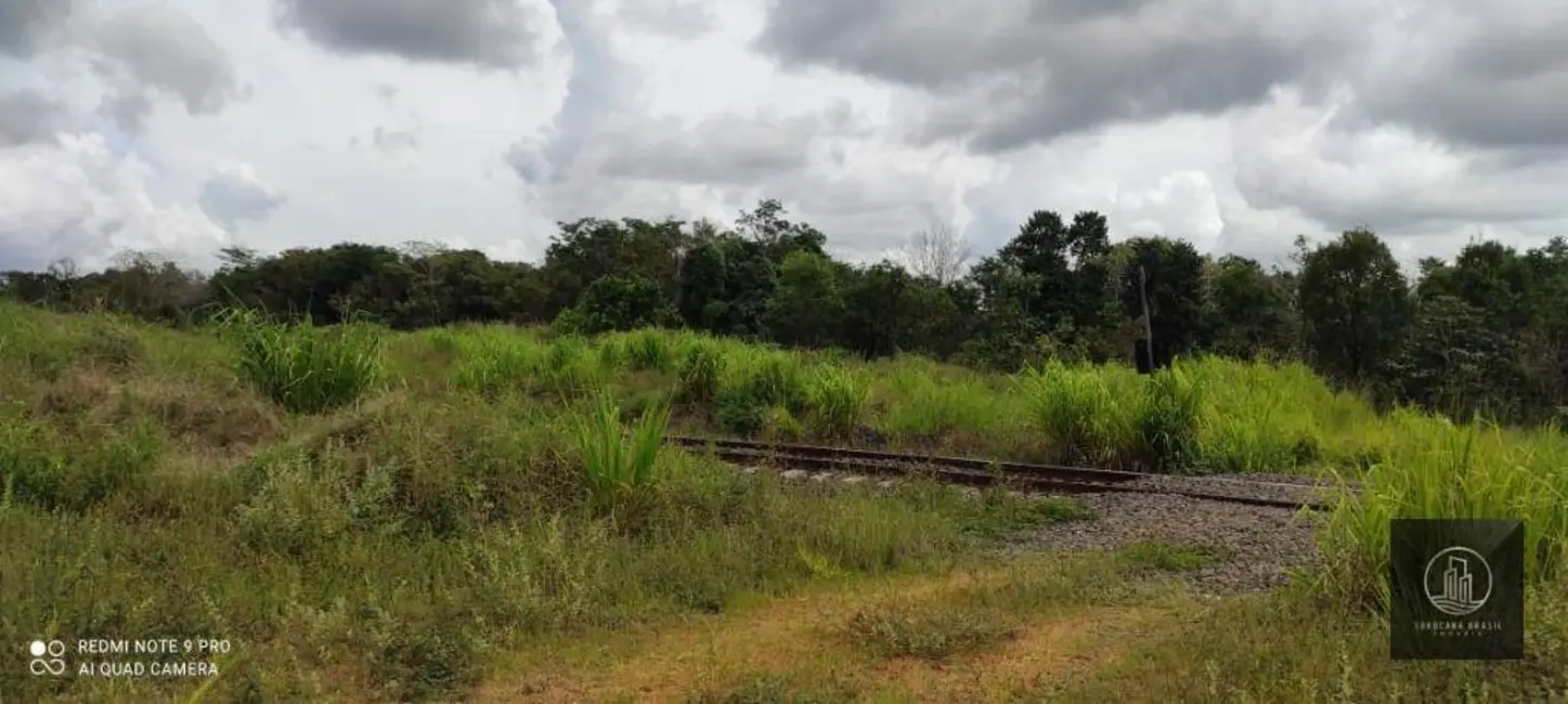 Foto 2 de Fazenda / Haras à venda, 16777215m2 em Centro, Alto Araguaia - MT