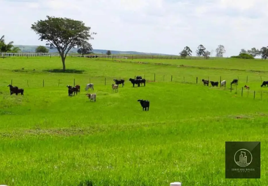 Foto 2 de Fazenda / Haras à venda, 7671400m2 em Área Rural de Bauru, Bauru - SP