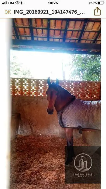Foto 7 de Fazenda / Haras à venda, 992200m2 em Atibaia - SP