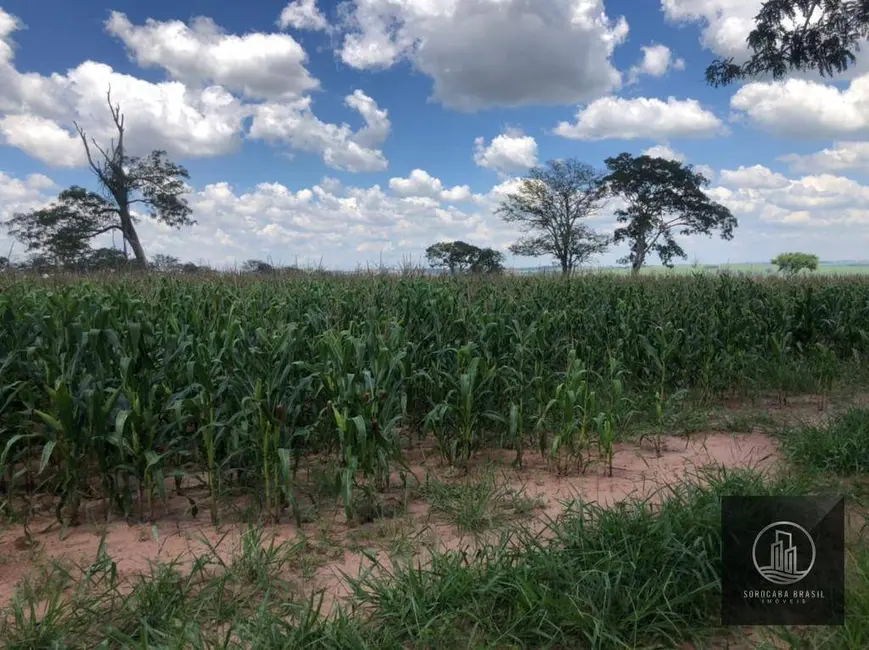 Foto 2 de Fazenda / Haras à venda, 578622m2 em Área Rural de São Carlos, Sao Carlos - SP