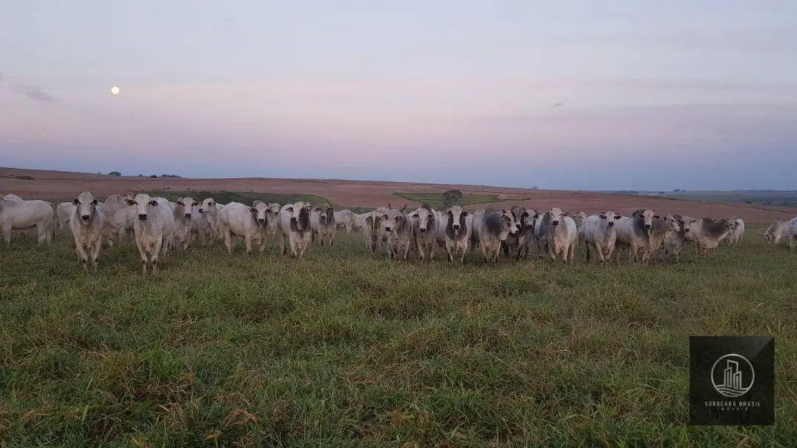 Foto 1 de Fazenda / Haras à venda, 16777215m2 em Centro, Pompeia - SP