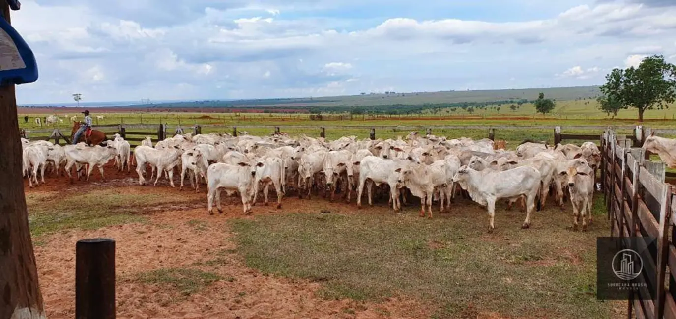 Foto 1 de Fazenda / Haras à venda, 3242800m2 em Centro, Itajobi - SP