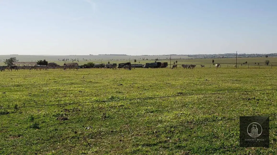 Foto 8 de Fazenda / Haras à venda, 3242800m2 em Centro, Itajobi - SP