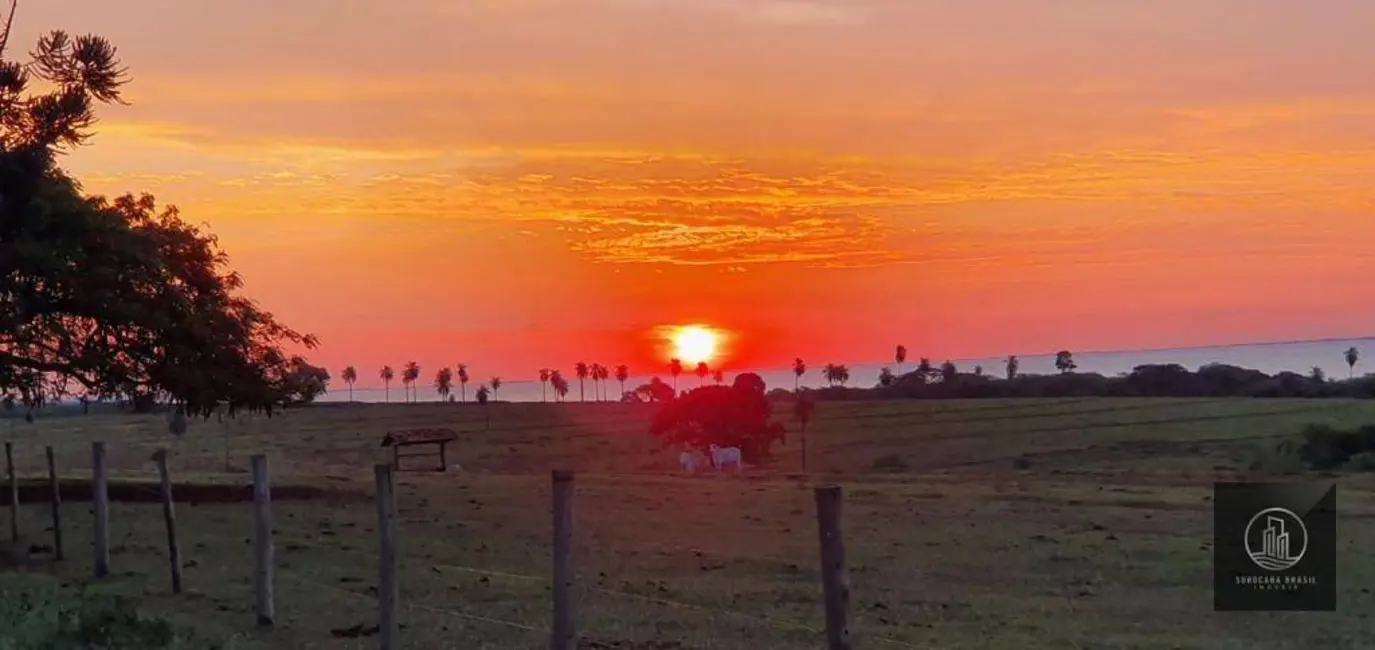 Foto 3 de Fazenda / Haras à venda, 3242800m2 em Centro, Itajobi - SP