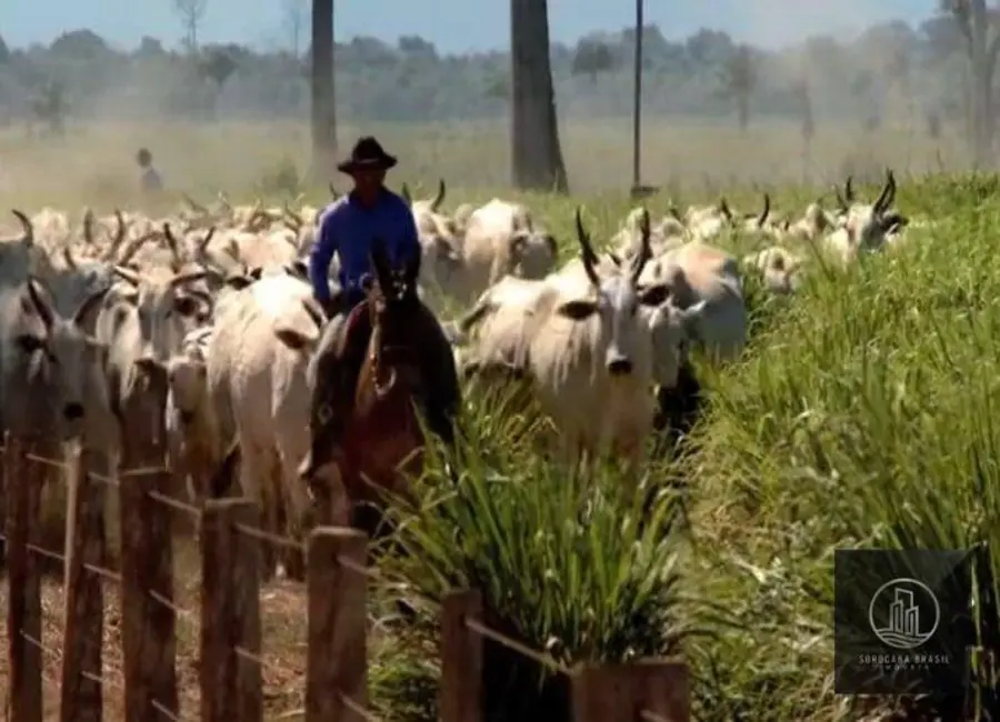 Foto 7 de Fazenda / Haras à venda, 16777215m2 em Nova Marabá, Maraba - PA