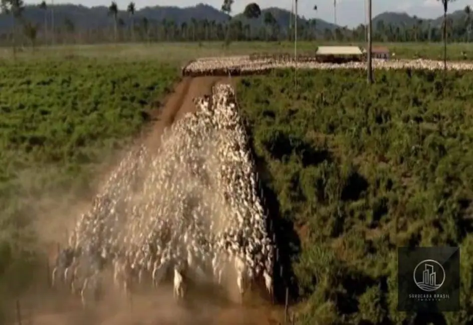 Foto 3 de Fazenda / Haras à venda, 16777215m2 em Nova Marabá, Maraba - PA