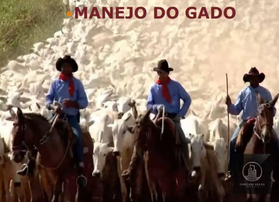 Foto 6 de Fazenda / Haras à venda, 16777215m2 em Nova Marabá, Maraba - PA
