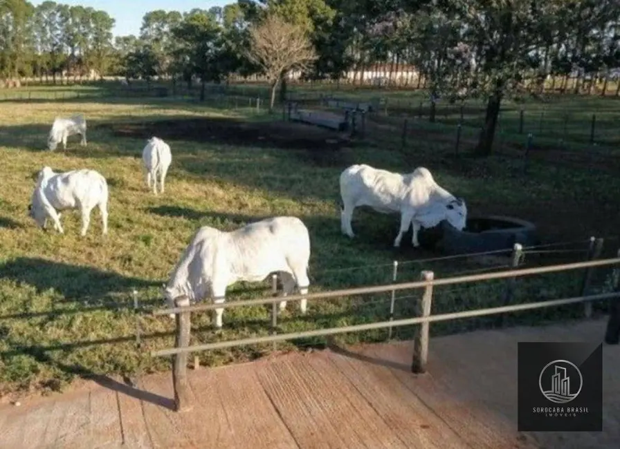 Foto 7 de Fazenda / Haras à venda, 6050000m2 em Costa Azul II, Avare - SP