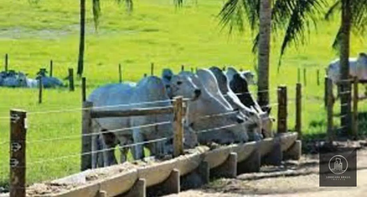 Foto 6 de Fazenda / Haras à venda, 6050000m2 em Costa Azul II, Avare - SP