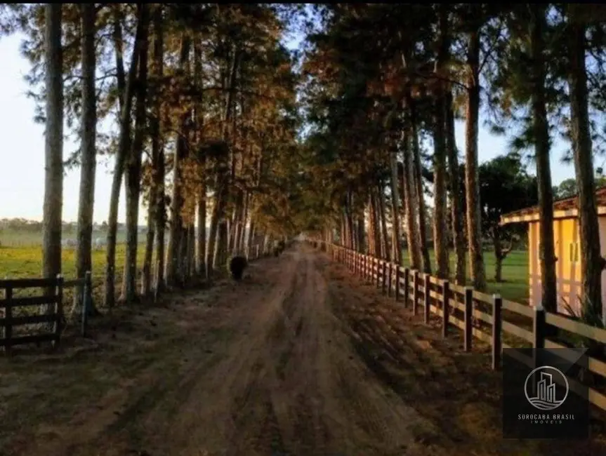 Foto 8 de Fazenda / Haras à venda, 6050000m2 em Costa Azul II, Avare - SP