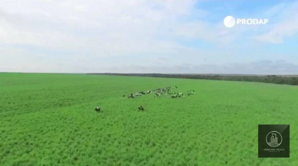 Fazenda / Haras à venda, 16777215m2 em Sorriso - MT - imagem 6 Foto 6 de Fazenda / Haras à venda, 16777215m2 em Sorriso - MT