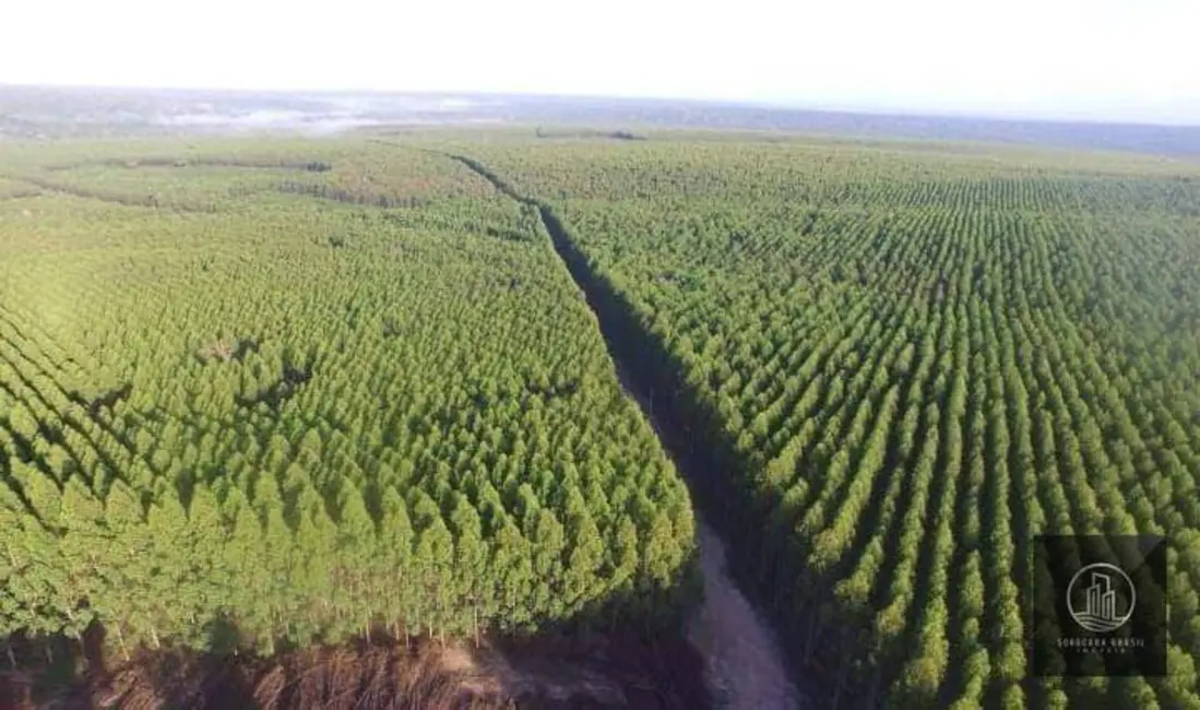 Foto 3 de Fazenda / Haras à venda, 16777215m2 em Centro, Ribas Do Rio Pardo - MS