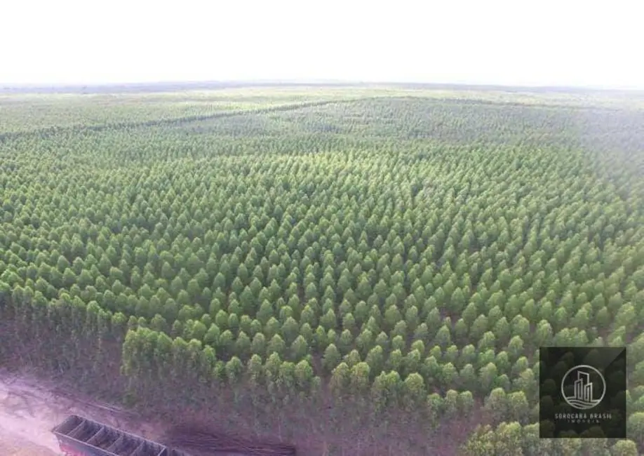 Foto 2 de Fazenda / Haras à venda, 16777215m2 em Centro, Ribas Do Rio Pardo - MS