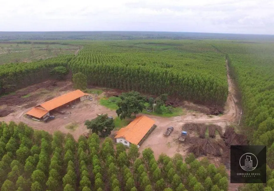 Foto 1 de Fazenda / Haras à venda, 16777215m2 em Centro, Ribas Do Rio Pardo - MS