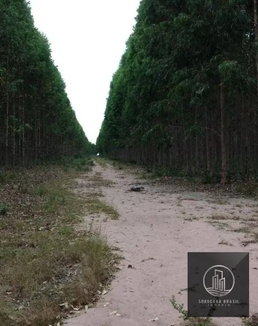 Foto 4 de Fazenda / Haras à venda, 16777215m2 em Centro, Ribas Do Rio Pardo - MS