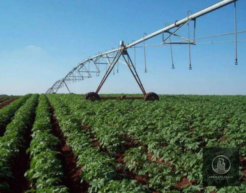 Foto 7 de Fazenda / Haras à venda, 16777215m2 em Colina dos Pinheiros, Itapeva - SP